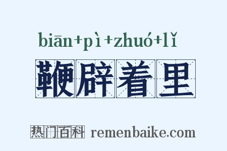 鞭辟着里是什么意思的图片